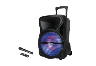مكبر صوت متنقل مع مايك GMS8568